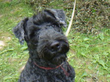 ���-���-�����