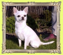 ����� ����� ����