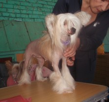 ����� �*��� ����� ��������