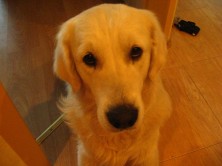 ��������� ����������-������