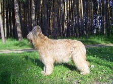 ������ � ���� ����� ���� ��������