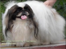 C������� ������� ���������