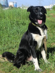 ������ ��