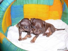 ����  ��������