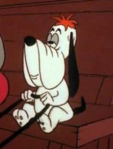 ����� Bassetdog