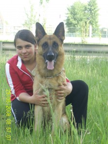 ������� ������ �������