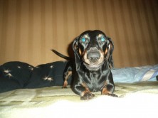 ���� ������� ����� ������ ������ ���������