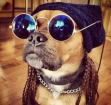 ROLT roltpower POWER