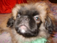 ��������� ����� ����