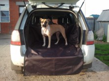 ��������� D7161