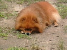 �����  �������