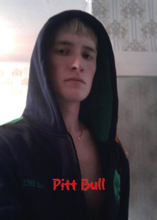 ������ PittBull �����