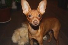 "������"