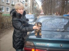 ���� ������ ��������