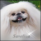  savelina 