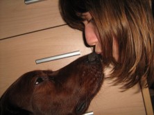 ���� Zhuli ���������