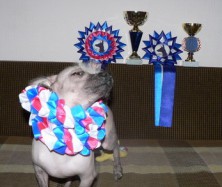 ���� ������