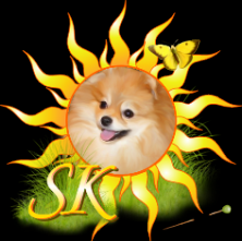 ��������� �������� ������ ��������� ���������