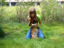 ������  �������