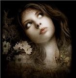 ���� ������� ���������