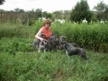 ������ larifem ���������