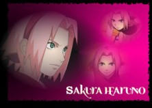 ���� Sakura