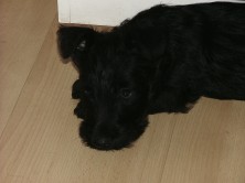 ���� ������ �������