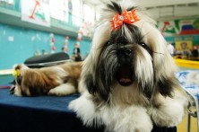 ����� ����� � ���������