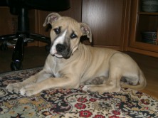 ����� C2H5OH ��������