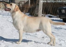 ����� �������� ���������