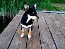 �������  .