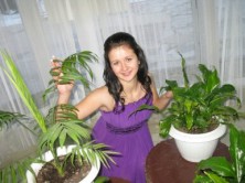 ��������  ����������