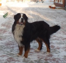 ������� ������� ������