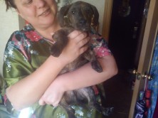 ����� coroka