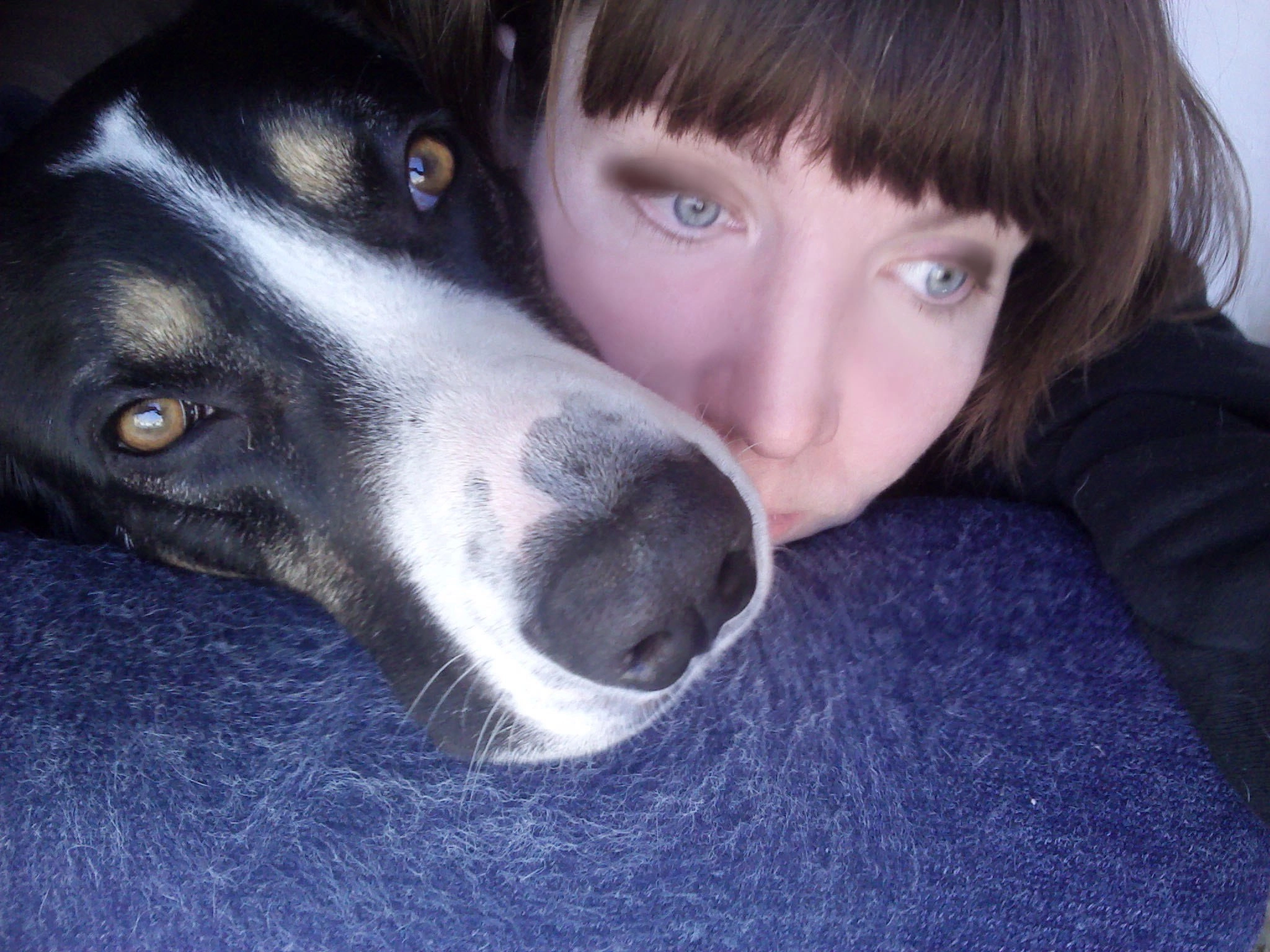 ������� Nek25 ���������