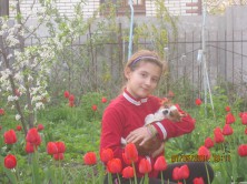 ��������  ����������-�������