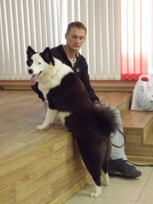 ������� capral88 �������