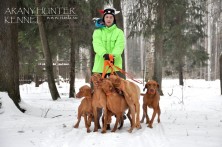 ���� AranyHunter ������