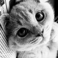 ���  ����������