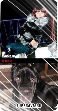 ����� Arctica �����