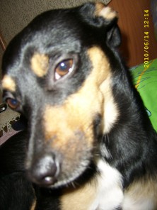 ������������